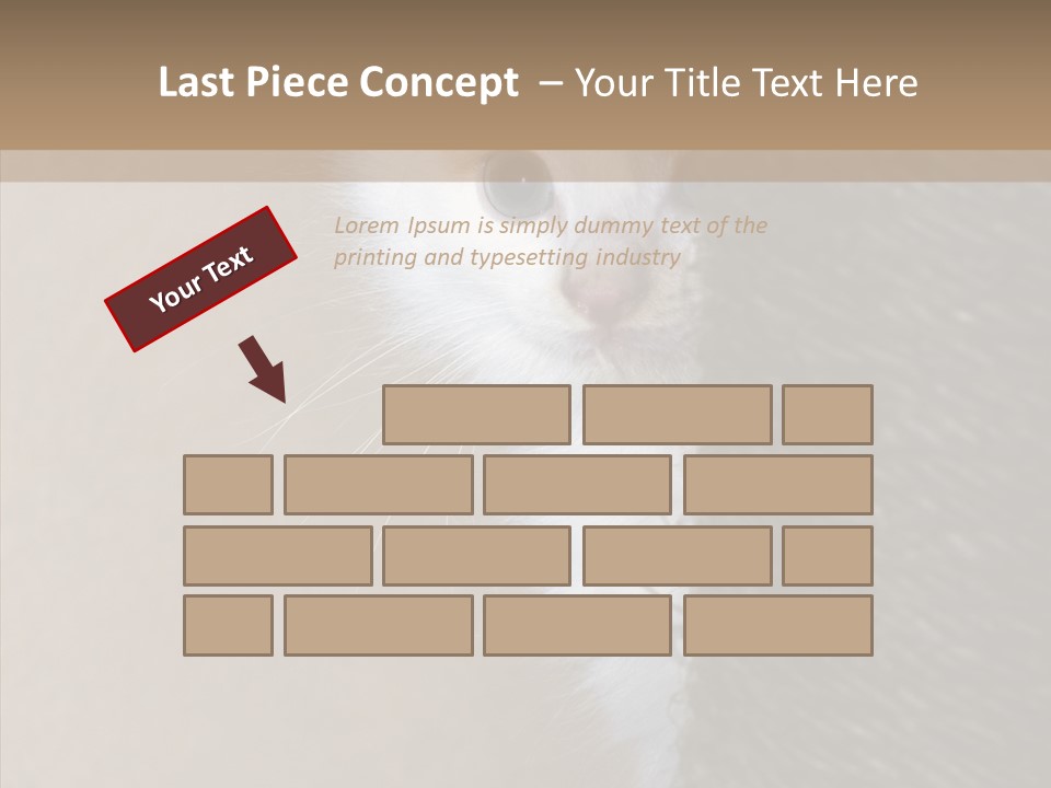 Fluffy Post Hiding PowerPoint Template