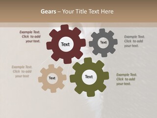 Fluffy Post Hiding PowerPoint Template