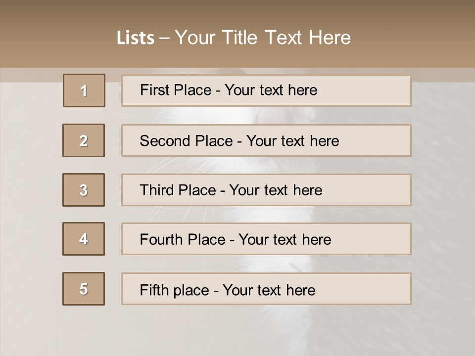 Fluffy Post Hiding PowerPoint Template