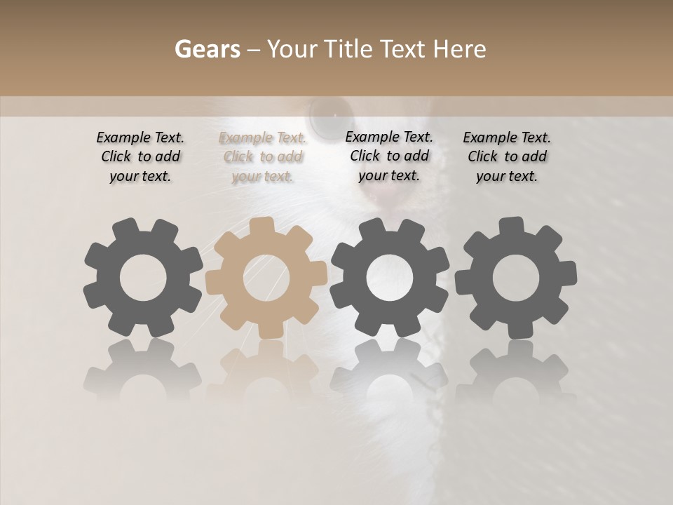 Fluffy Post Hiding PowerPoint Template