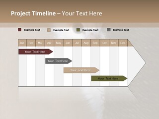 Fluffy Post Hiding PowerPoint Template