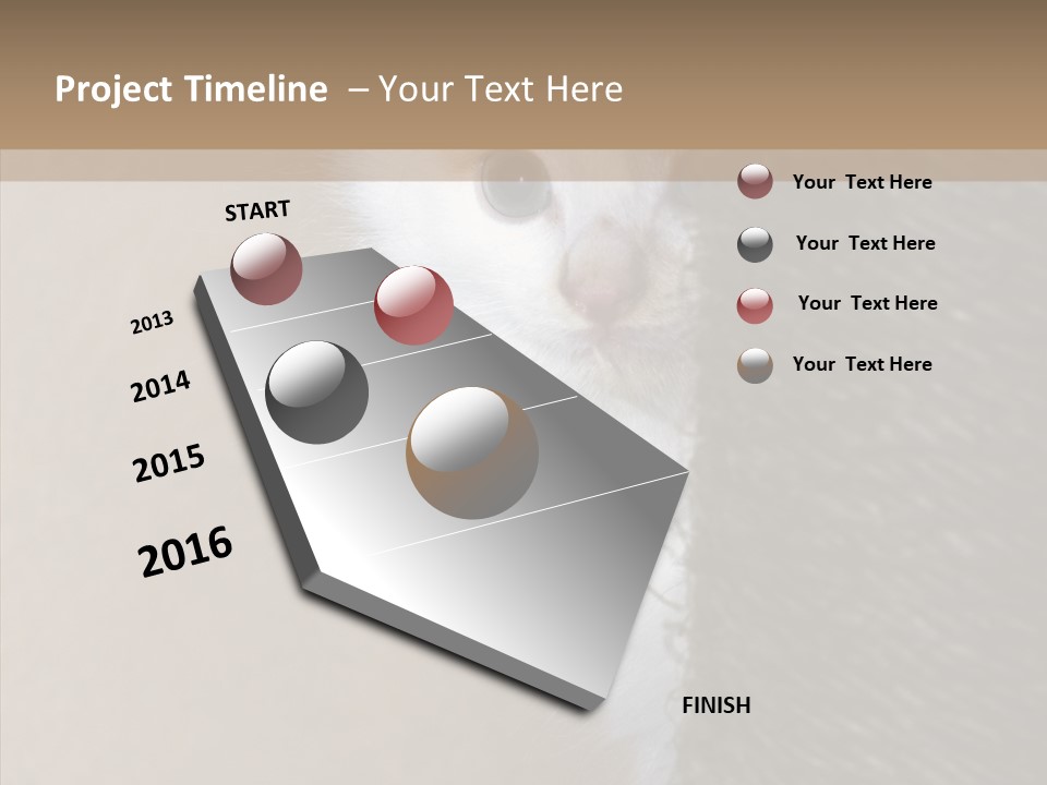 Fluffy Post Hiding PowerPoint Template
