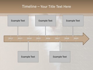 Fluffy Post Hiding PowerPoint Template