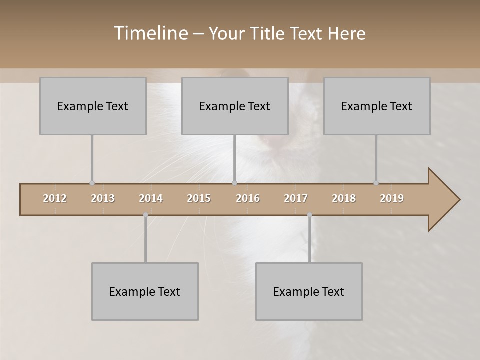 Fluffy Post Hiding PowerPoint Template