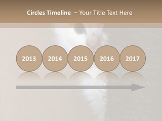 Fluffy Post Hiding PowerPoint Template