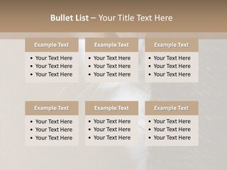 Fluffy Post Hiding PowerPoint Template