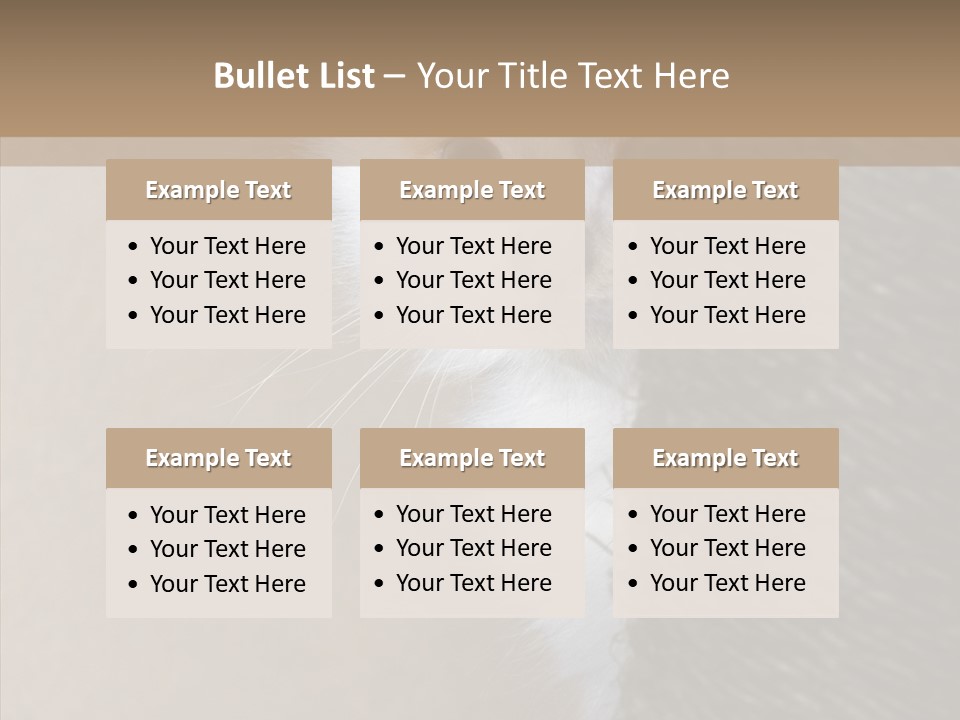 Fluffy Post Hiding PowerPoint Template