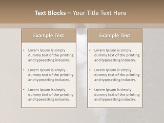 Fluffy Post Hiding PowerPoint Template