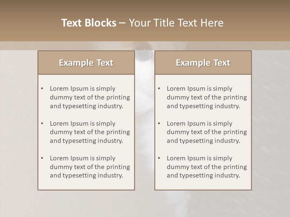 Fluffy Post Hiding PowerPoint Template