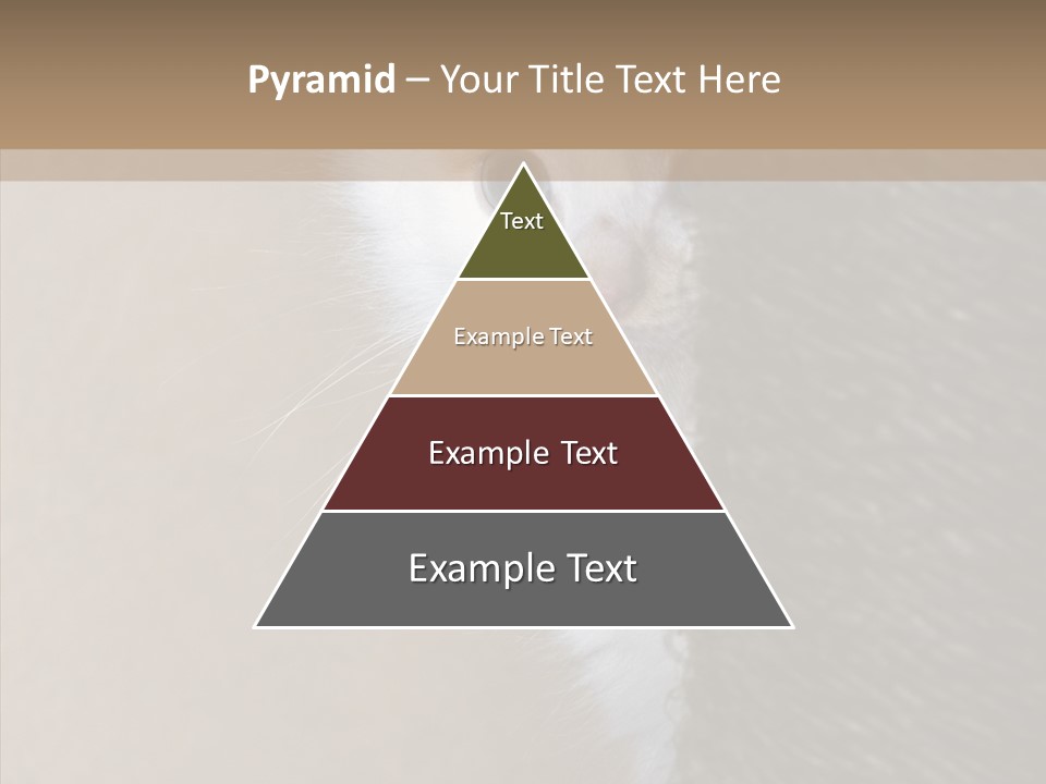 Fluffy Post Hiding PowerPoint Template