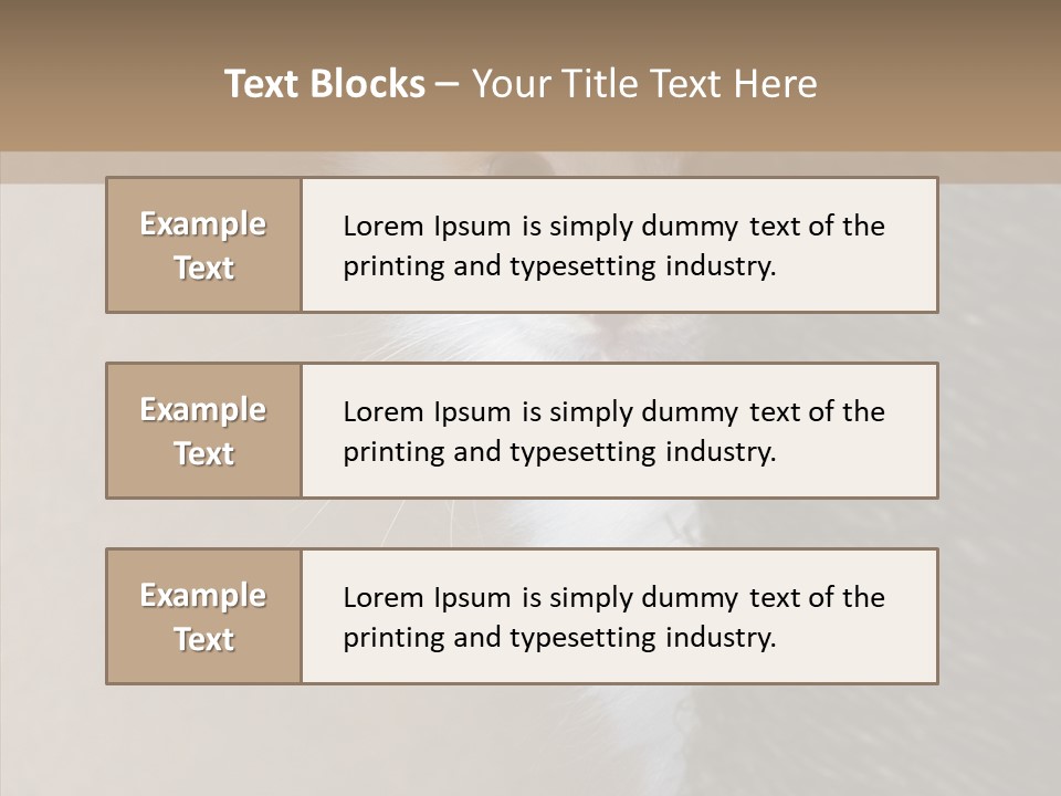 Fluffy Post Hiding PowerPoint Template