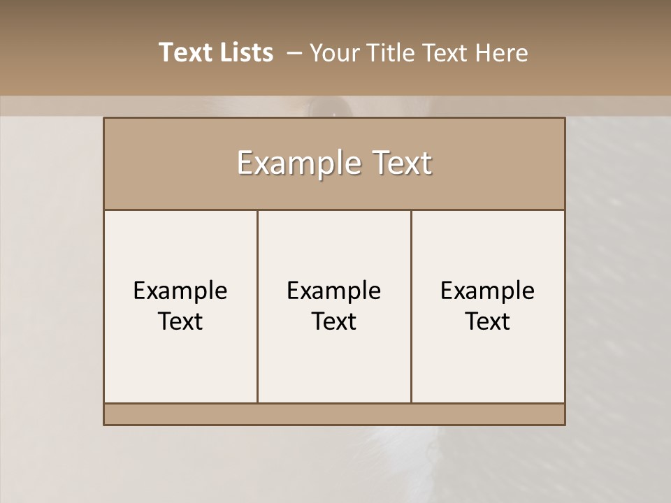 Fluffy Post Hiding PowerPoint Template