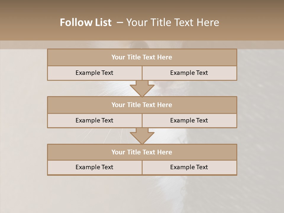 Fluffy Post Hiding PowerPoint Template