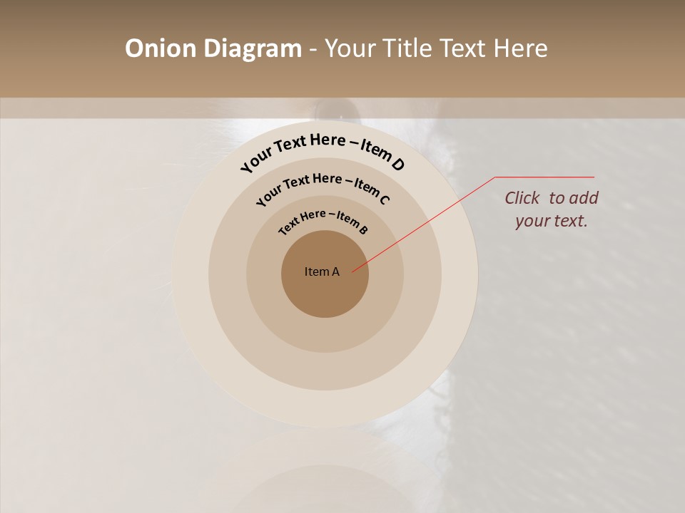 Fluffy Post Hiding PowerPoint Template