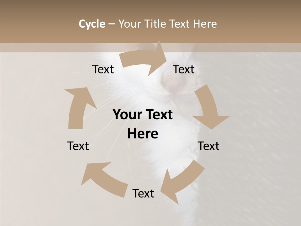 Fluffy Post Hiding PowerPoint Template