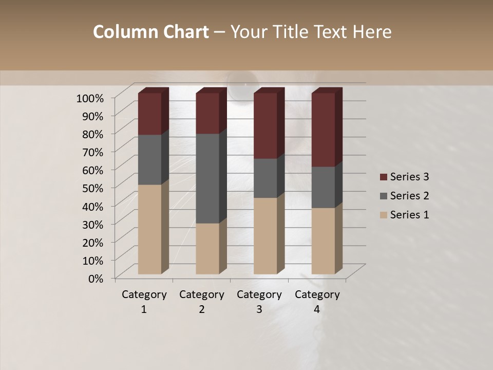 Fluffy Post Hiding PowerPoint Template