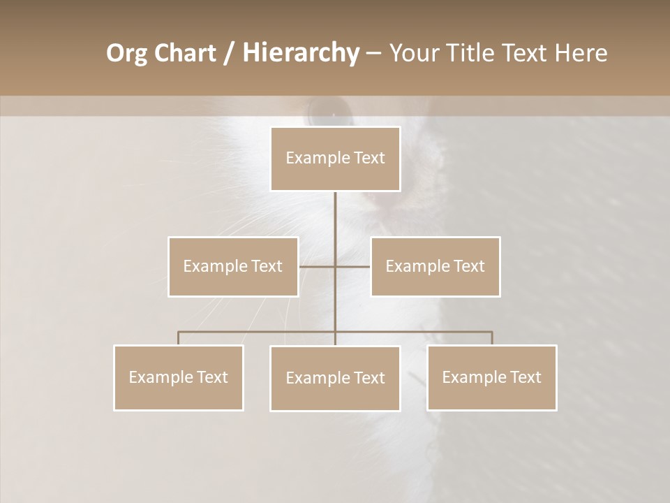 Fluffy Post Hiding PowerPoint Template