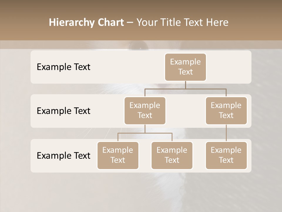 Fluffy Post Hiding PowerPoint Template