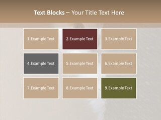 Fluffy Post Hiding PowerPoint Template