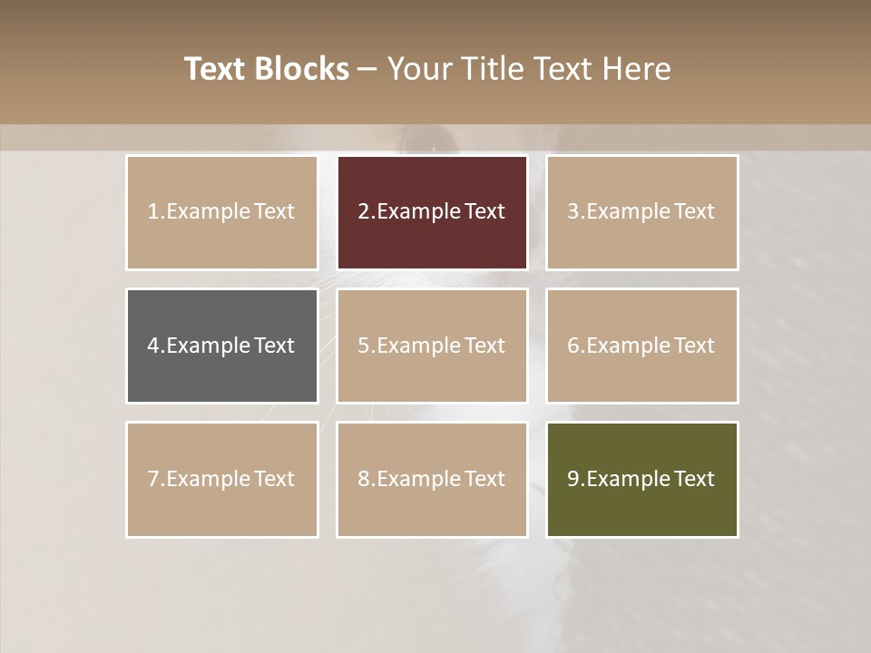 Fluffy Post Hiding PowerPoint Template