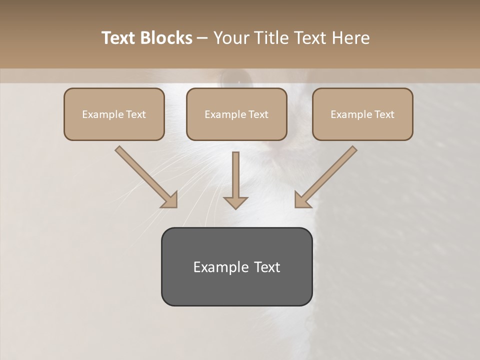 Fluffy Post Hiding PowerPoint Template