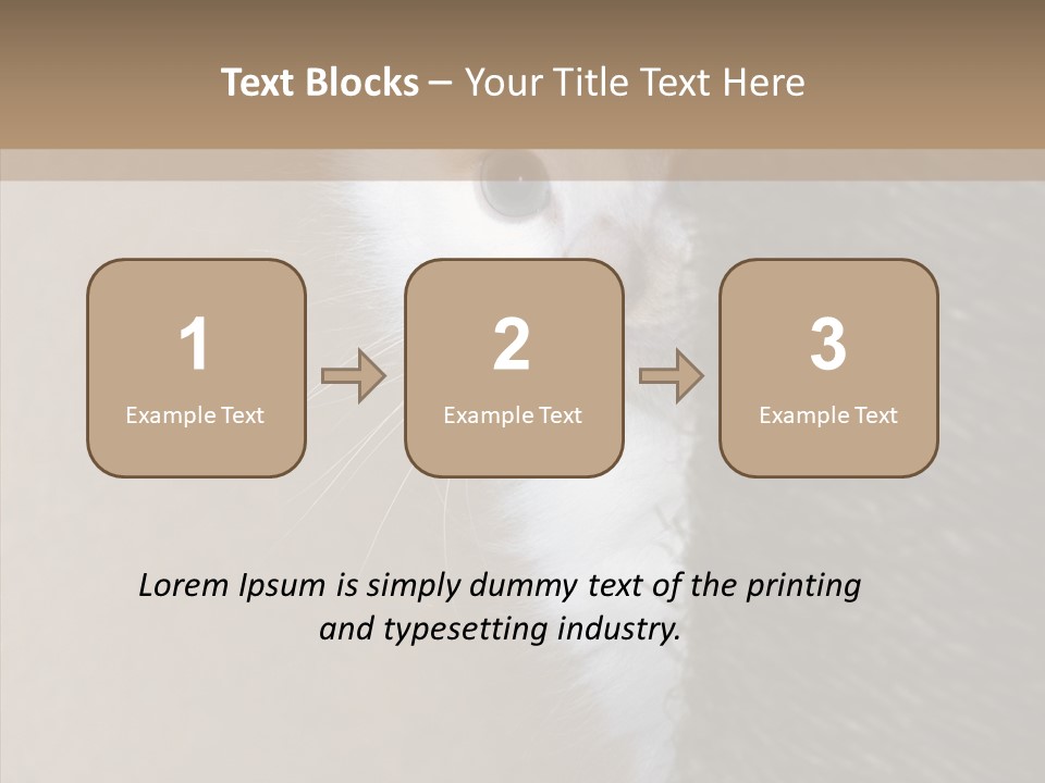 Fluffy Post Hiding PowerPoint Template