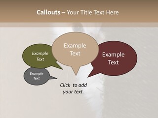 Fluffy Post Hiding PowerPoint Template