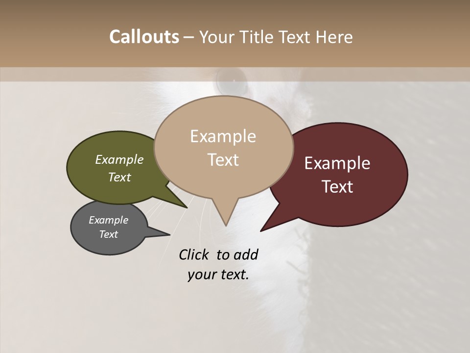 Fluffy Post Hiding PowerPoint Template