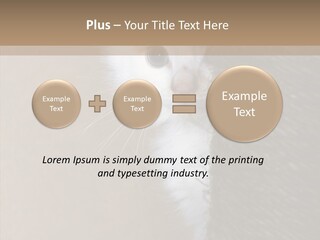 Fluffy Post Hiding PowerPoint Template