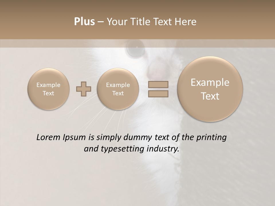 Fluffy Post Hiding PowerPoint Template