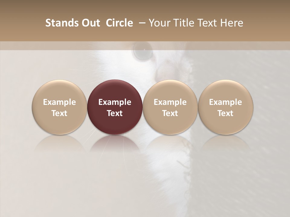 Fluffy Post Hiding PowerPoint Template