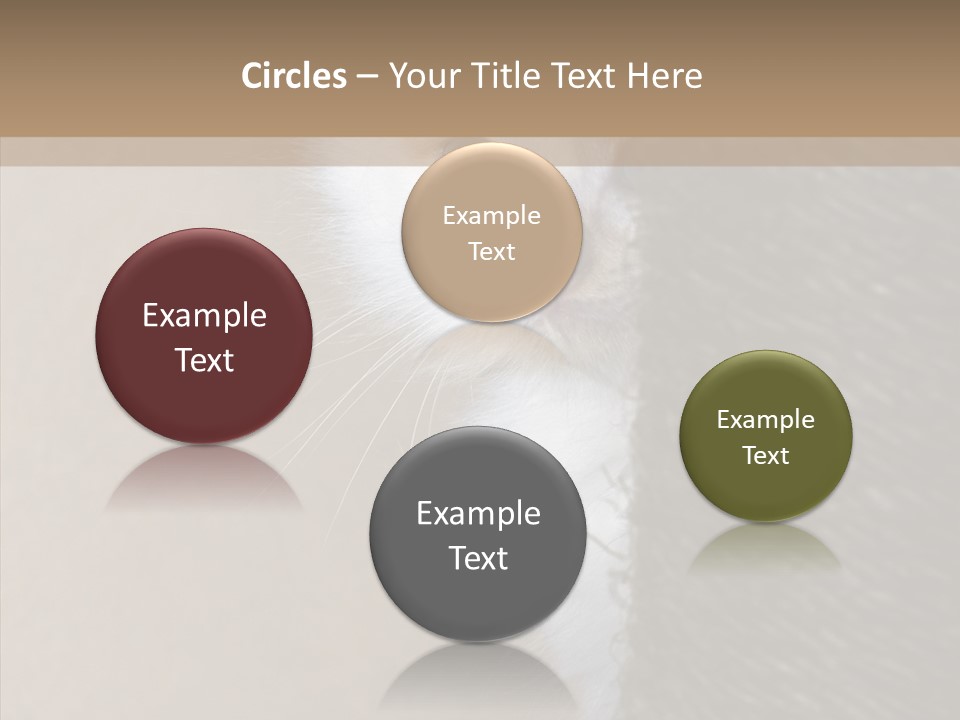 Fluffy Post Hiding PowerPoint Template
