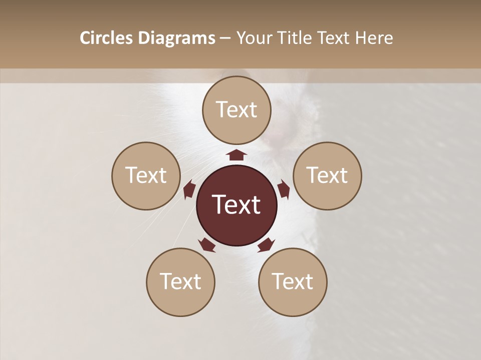 Fluffy Post Hiding PowerPoint Template