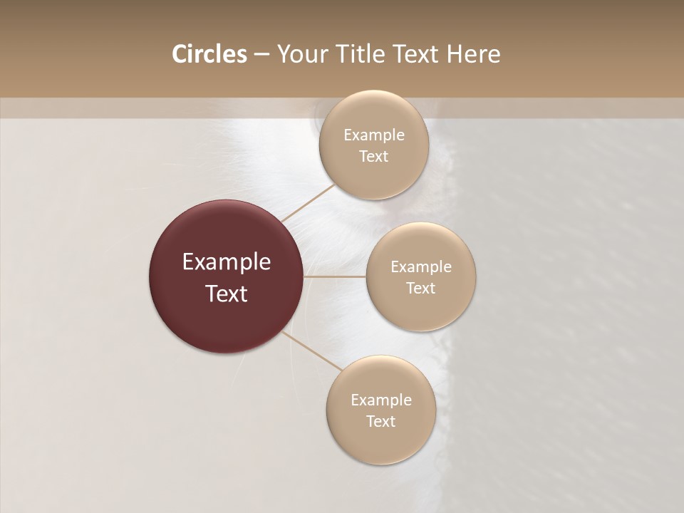 Fluffy Post Hiding PowerPoint Template