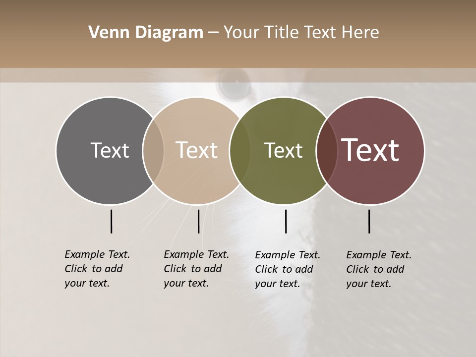 Fluffy Post Hiding PowerPoint Template