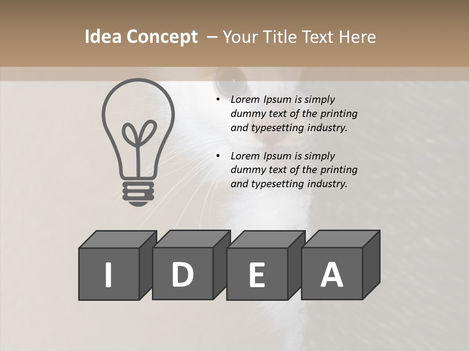 Fluffy Post Hiding PowerPoint Template