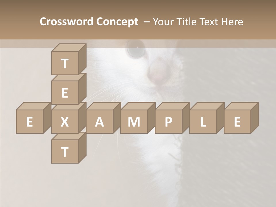 Fluffy Post Hiding PowerPoint Template