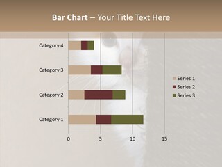 Fluffy Post Hiding PowerPoint Template