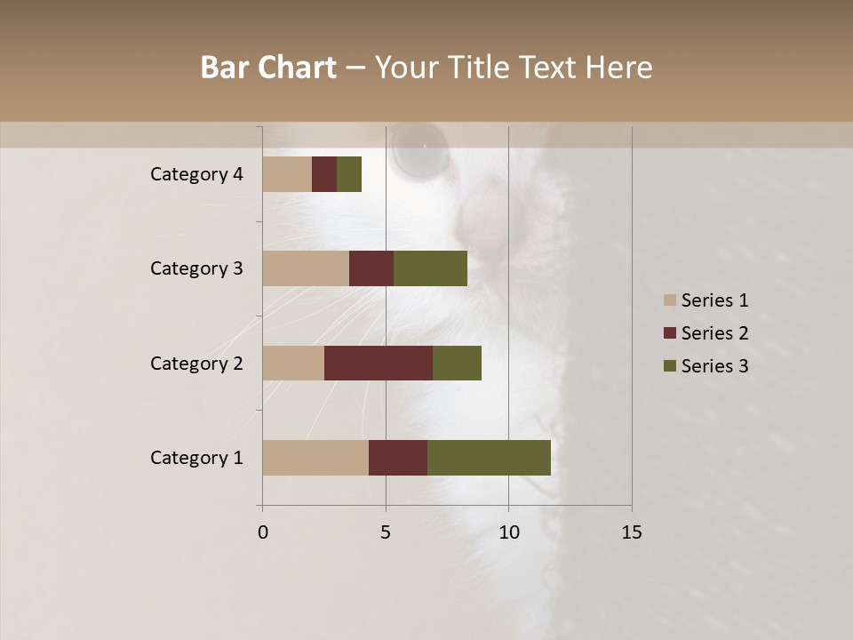 Fluffy Post Hiding PowerPoint Template