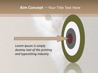 Fluffy Post Hiding PowerPoint Template