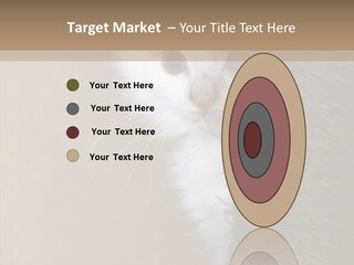 Fluffy Post Hiding PowerPoint Template