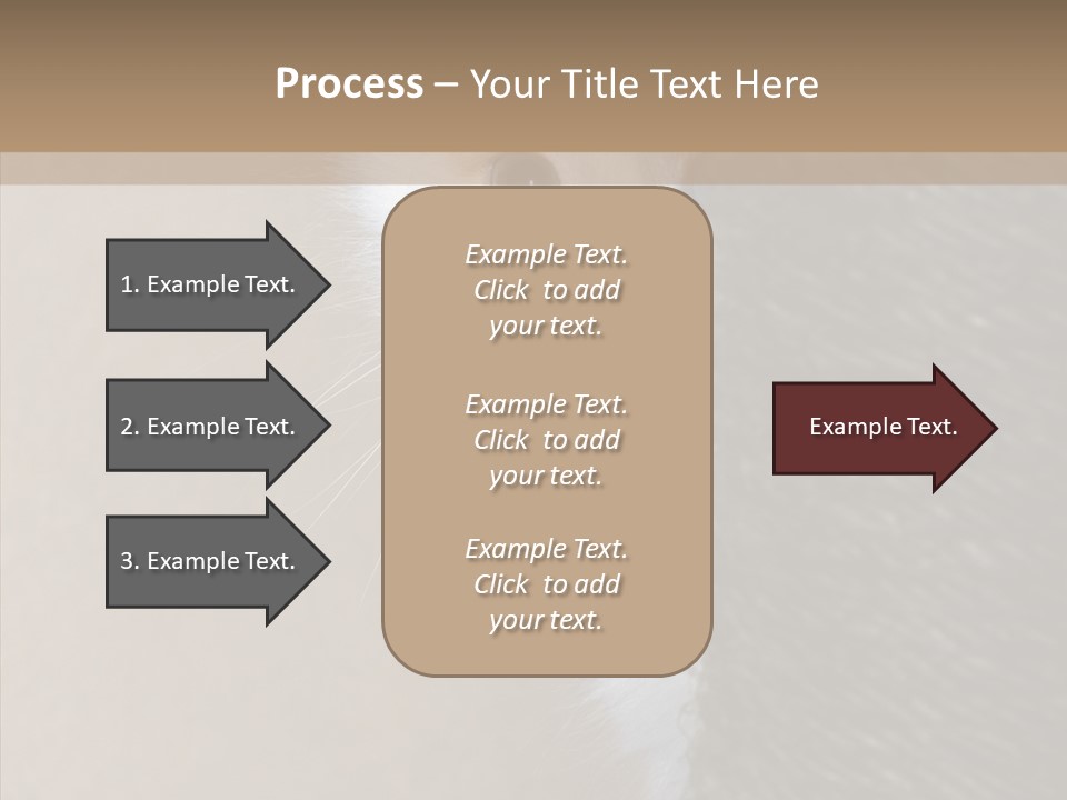 Fluffy Post Hiding PowerPoint Template