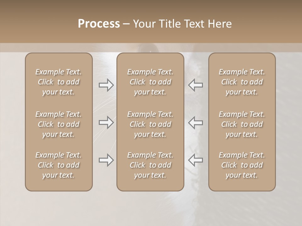 Fluffy Post Hiding PowerPoint Template