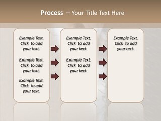Fluffy Post Hiding PowerPoint Template
