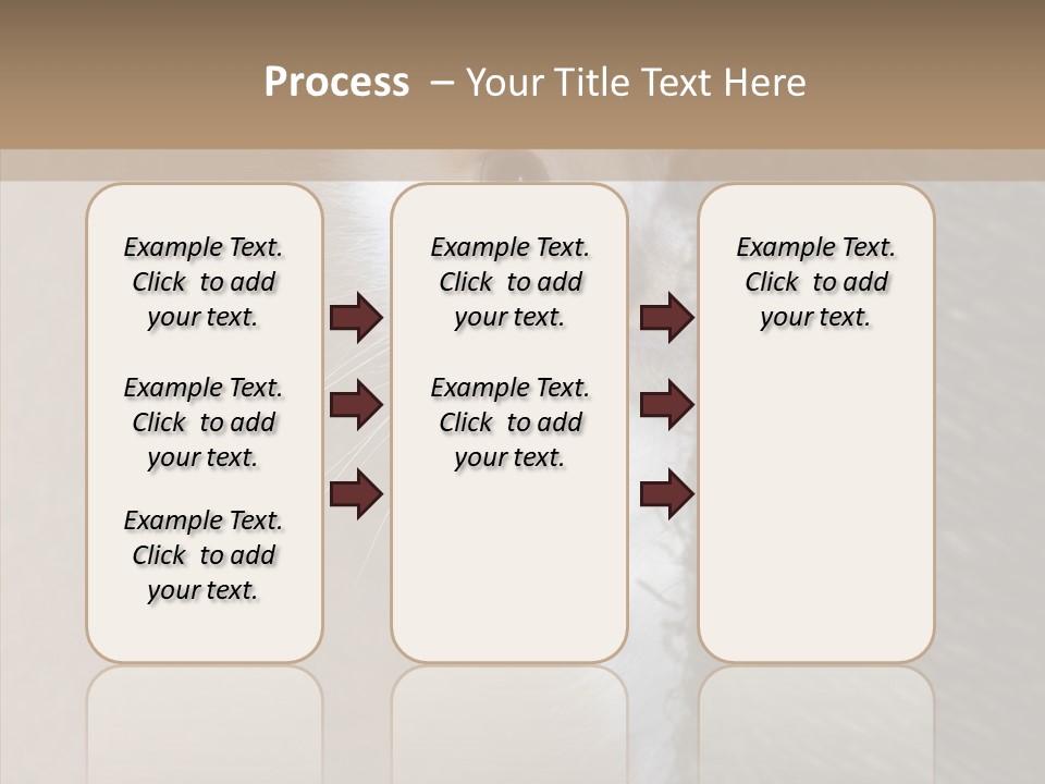 Fluffy Post Hiding PowerPoint Template