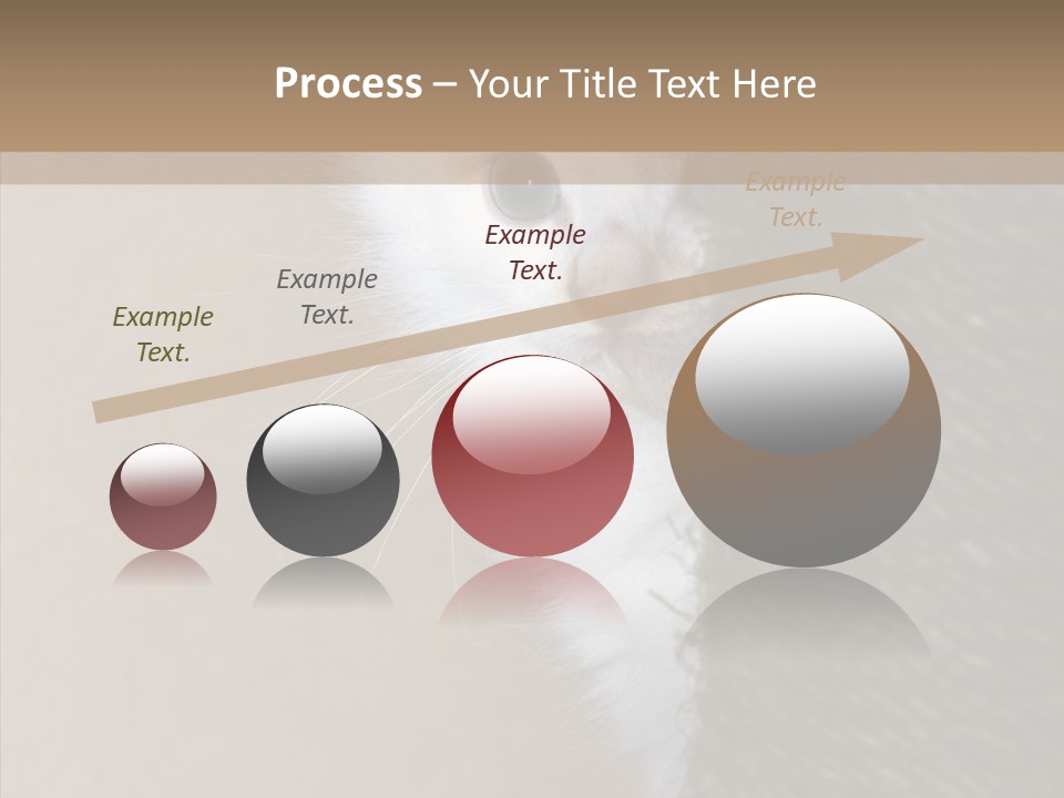 Fluffy Post Hiding PowerPoint Template