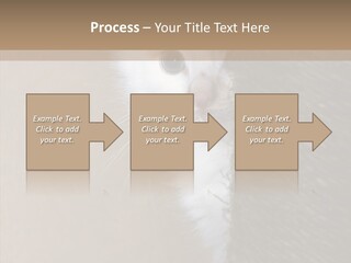 Fluffy Post Hiding PowerPoint Template