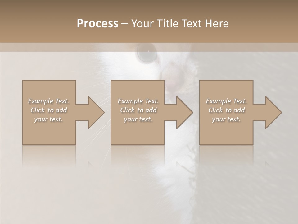 Fluffy Post Hiding PowerPoint Template
