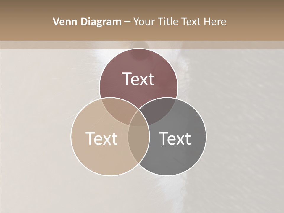 Fluffy Post Hiding PowerPoint Template