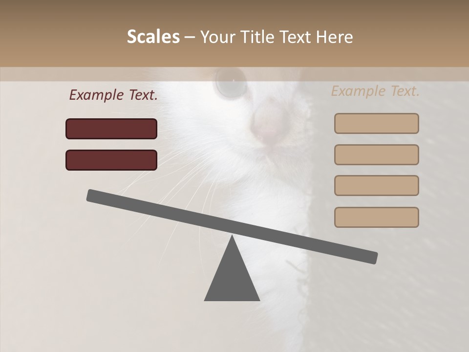 Fluffy Post Hiding PowerPoint Template